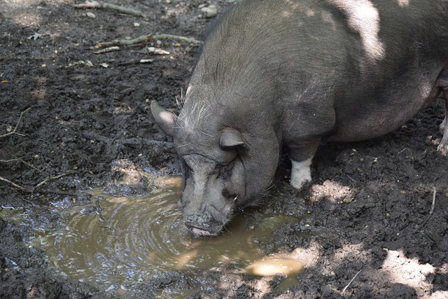 深刻地回答 深刻地回答