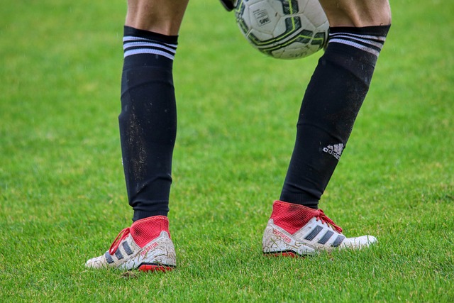 不仅展现了 不仅展现了