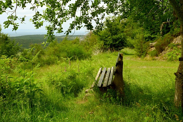 再度单场参 再度单场参