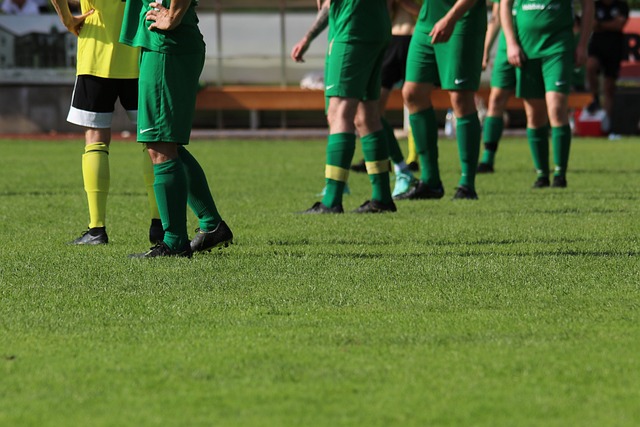 見識到了 見識到了