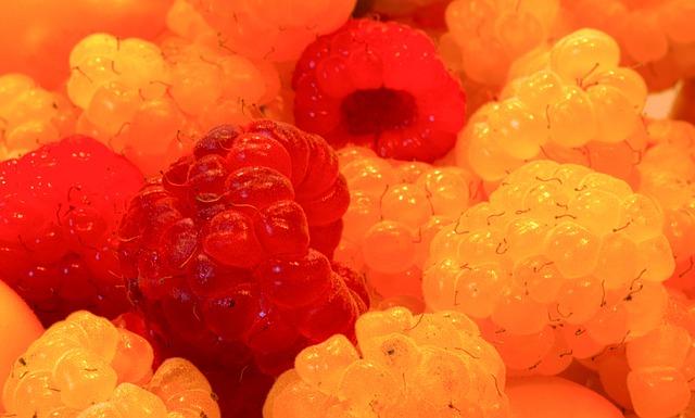 只有最强者 只有最强者