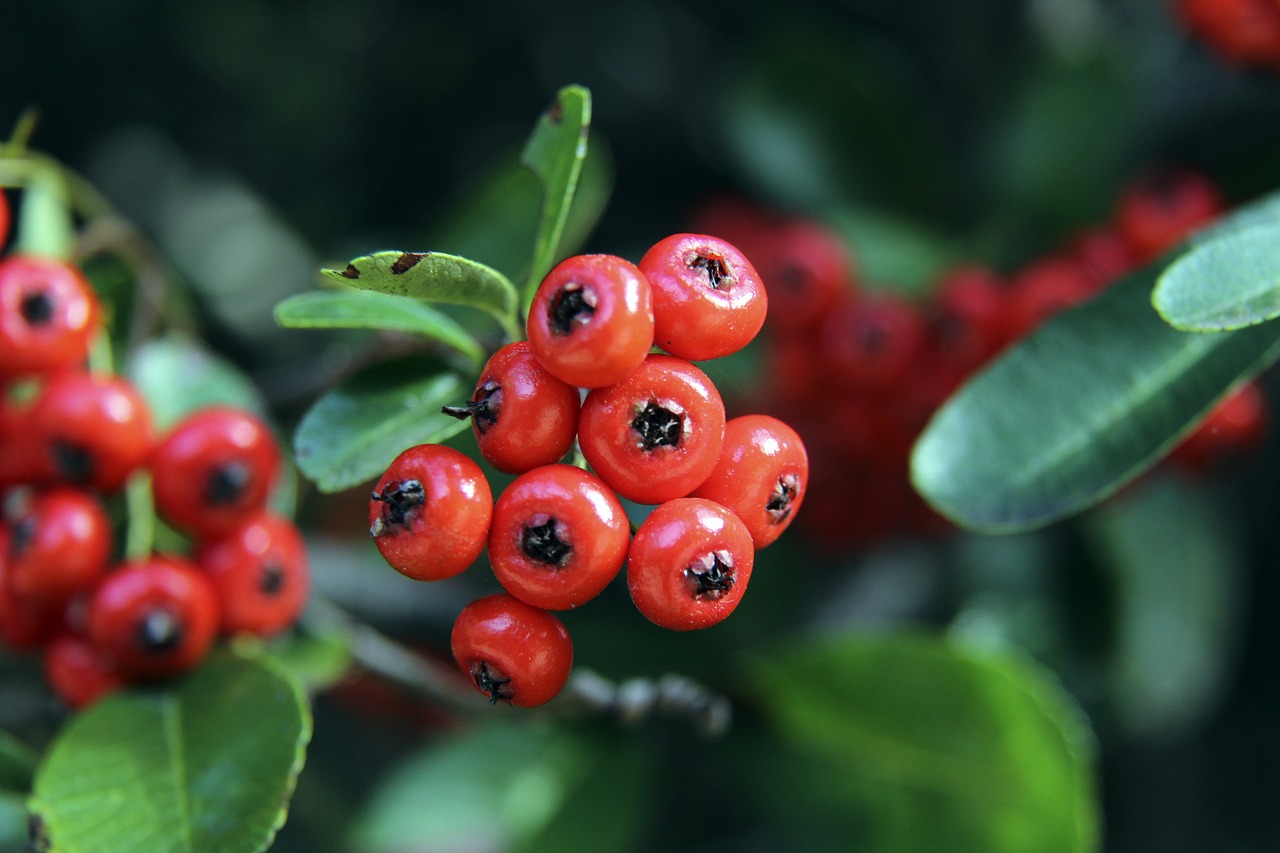 后果令人深 后果令人深