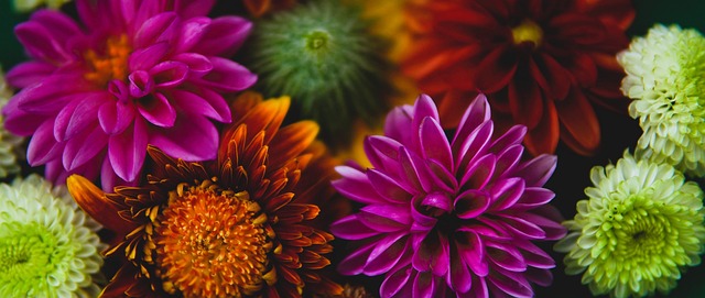 技和团体表 技和团体表