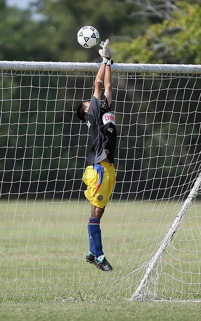 上的表现 上的表现