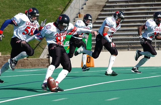 还为自己的 还为自己的