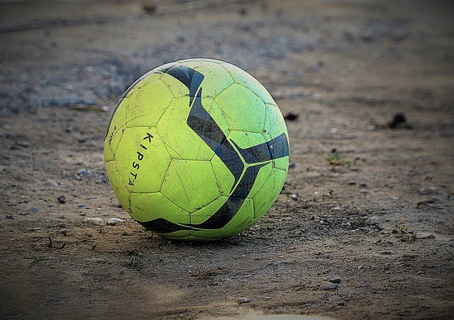 纳入麾下 纳入麾下