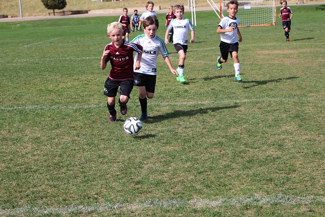 一张照片成 一张照片成