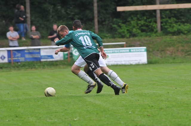 不仅体现在 不仅体现在